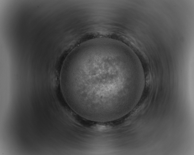X0000094900464200712061032