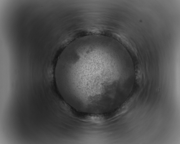X0000094900466200712061032