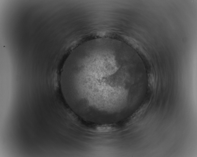 X0000094900470200712061032