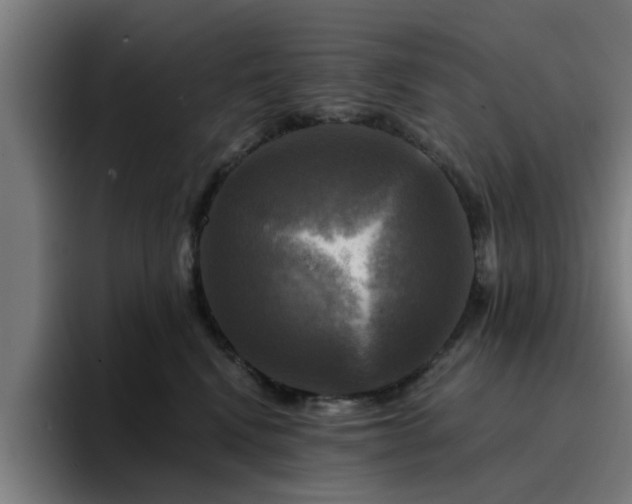 X0000094900472200712061032