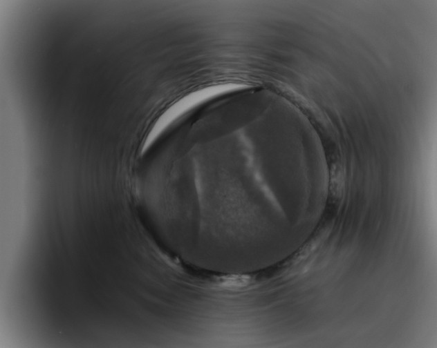 X0000094900474200712061032