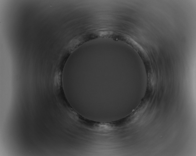 X0000094900475200712061032