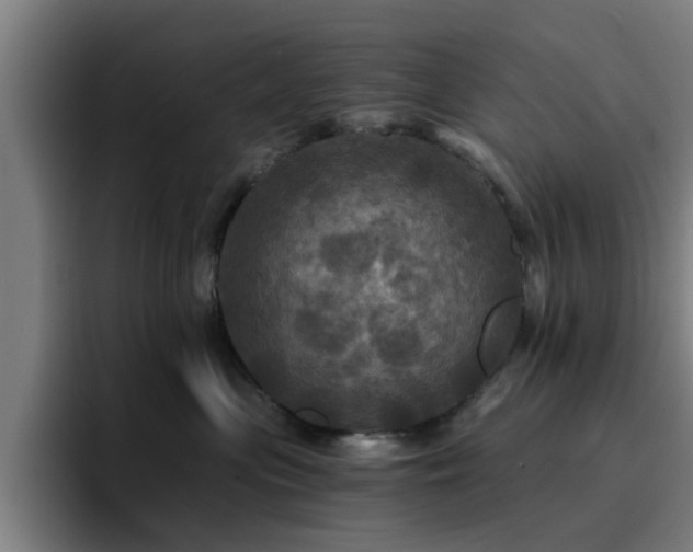 X0000094900477200712061032
