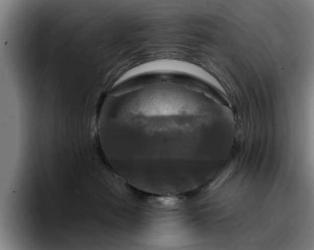 X0000094900478200712061032