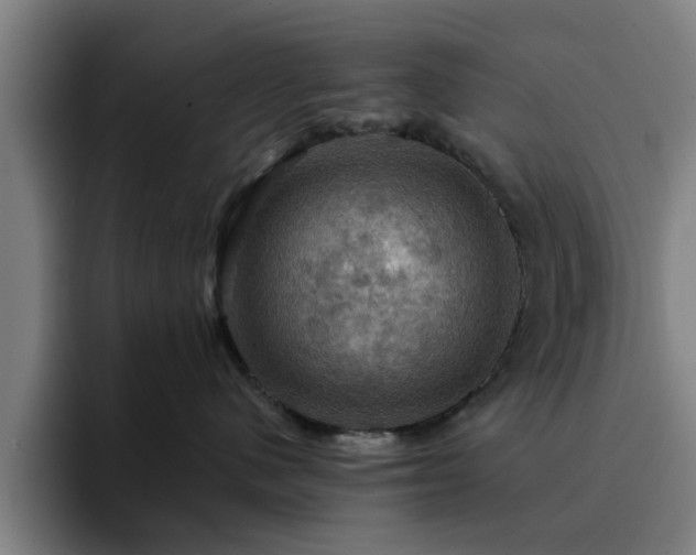X0000094900480200712061032