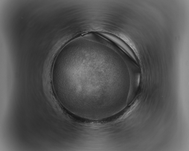 X0000094900481200712061032