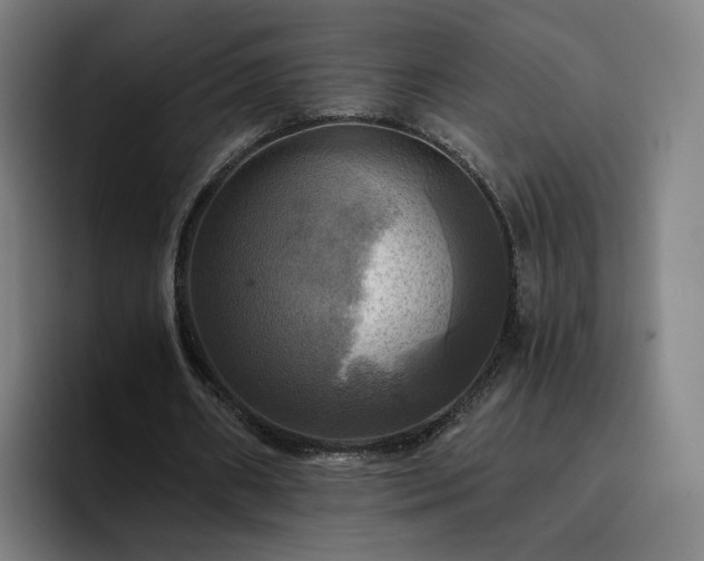 X0000094900482200712061032