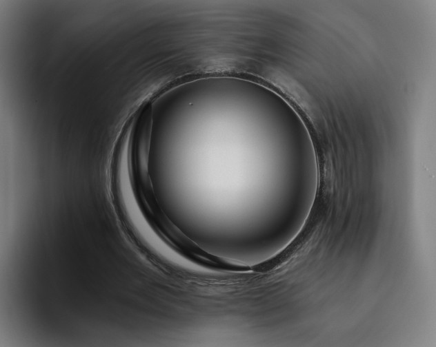 X0000094900485200712061032