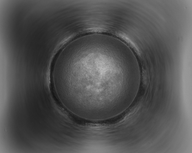 X0000094900486200712061032