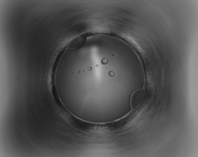 X0000094900487200712061032