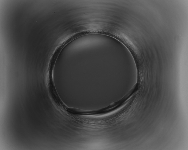 X0000094900488200712061032