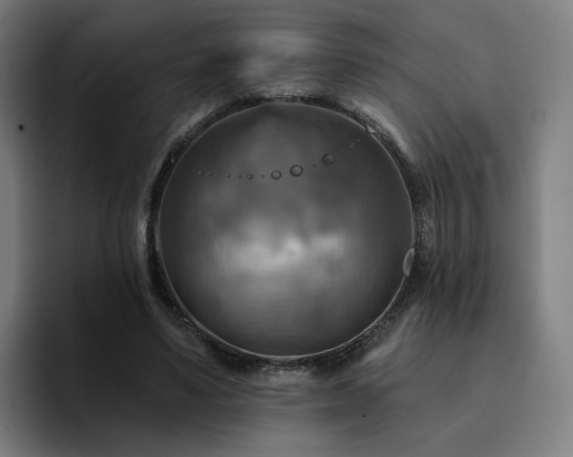 X0000094900491200712061031