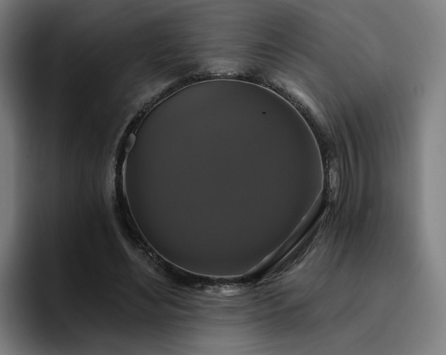X0000094900492200712061031