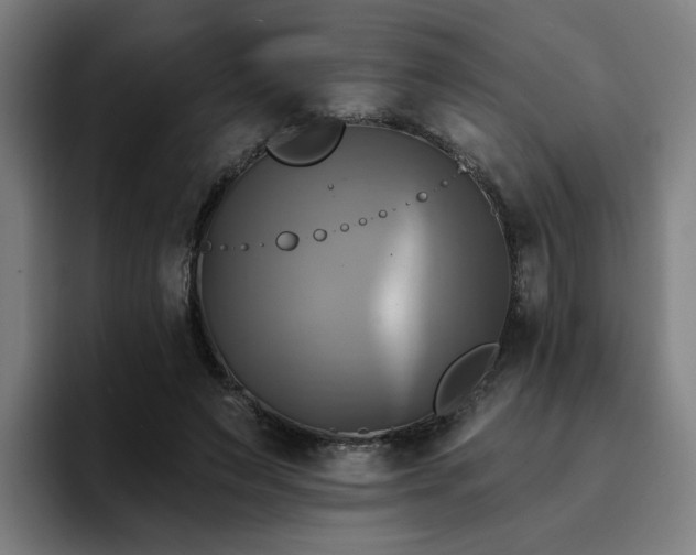 X0000094900495200712061031