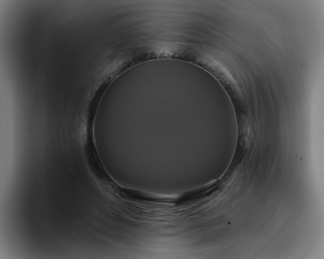 X0000094900496200712061031