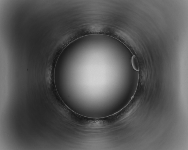 X0000094900497200712061031