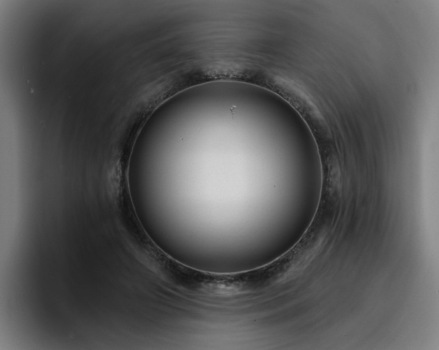 X0000094900498200712061031