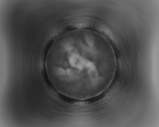 X0000094900499200712061031