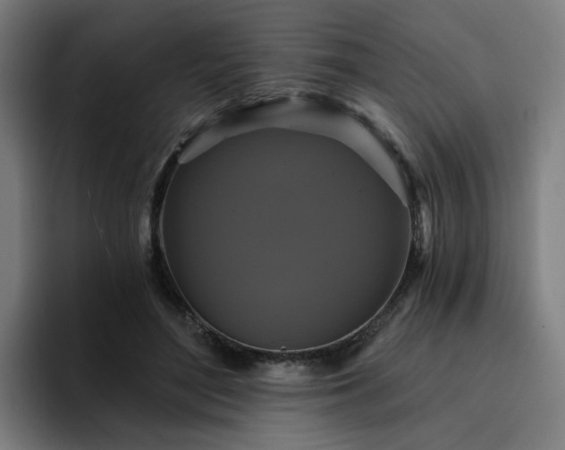 X0000094900500200712061031