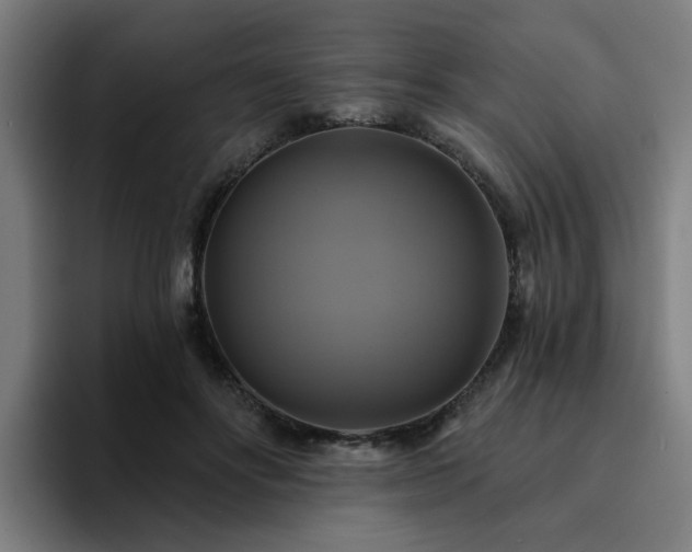 X0000094900502200712061031