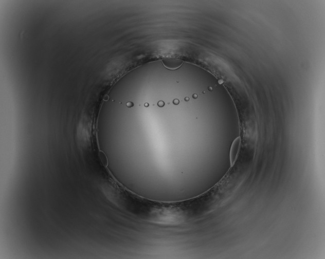 X0000094900503200712061031