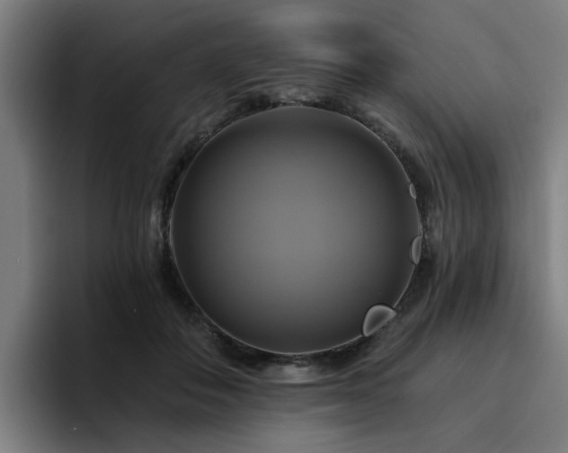 X0000094900506200712061031