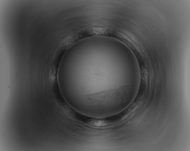 X0000094900507200712061031