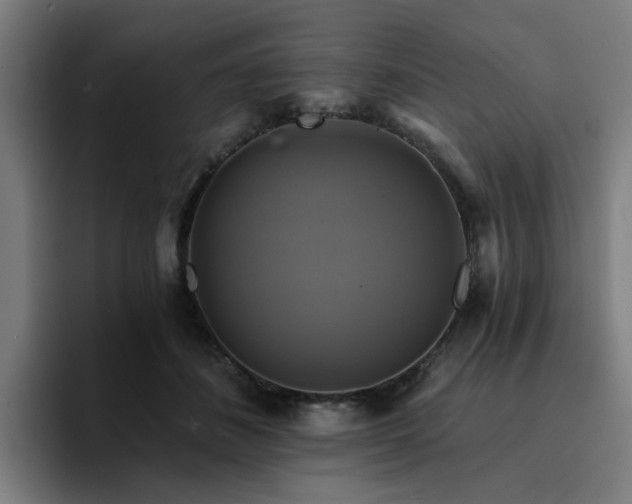 X0000094900508200712061031