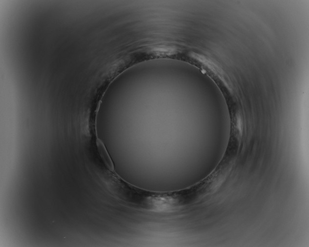 X0000094900512200712061031