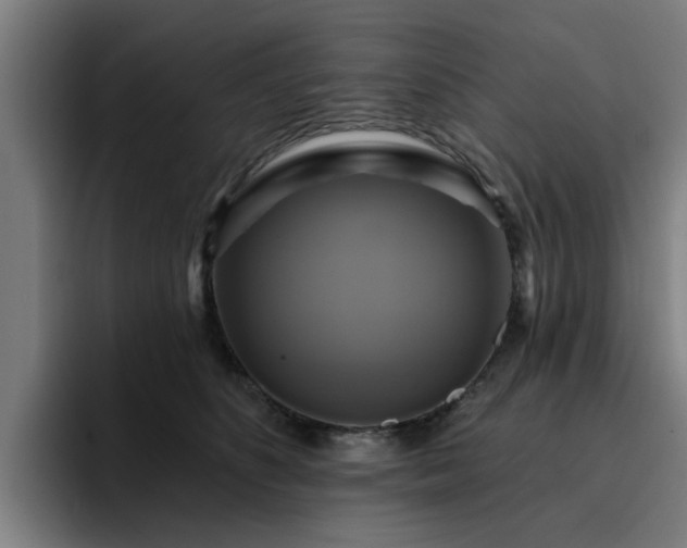 X0000094900516200712061031