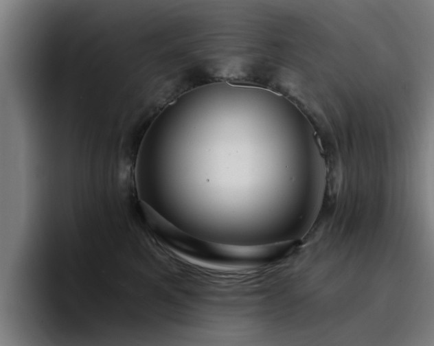 X0000094900521200712061031