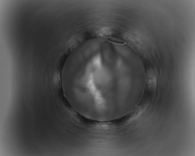 X0000094900523200712061031