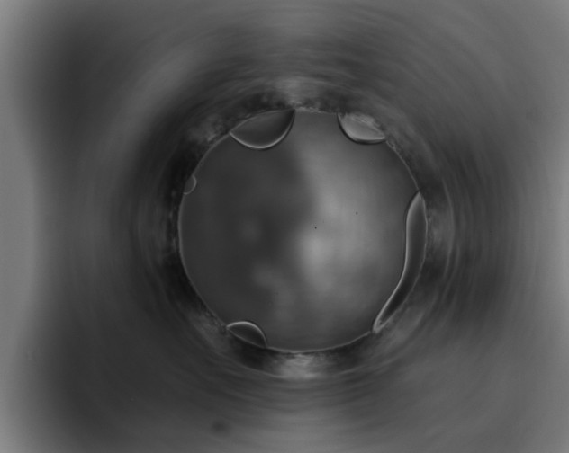 X0000094900527200712061031