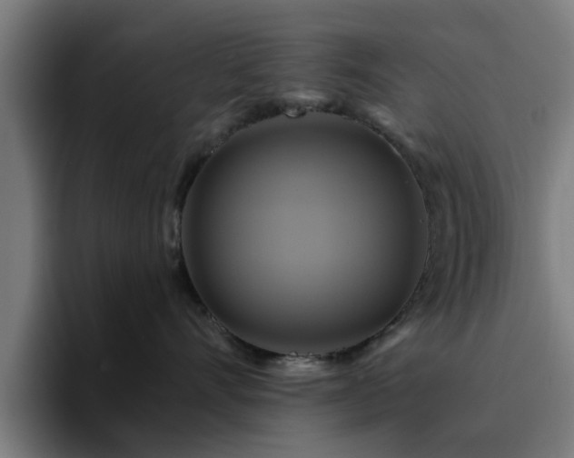 X0000094900528200712061031