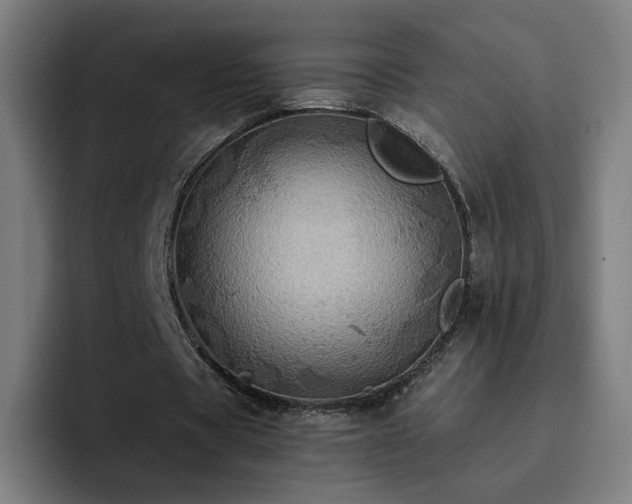 X0000094900529200712061030