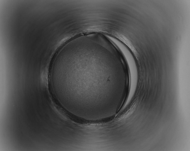X0000094900530200712061030