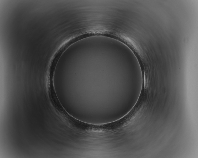 X0000094900531200712061030