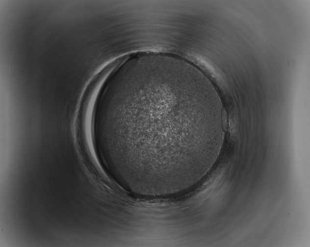 X0000094900532200712061030