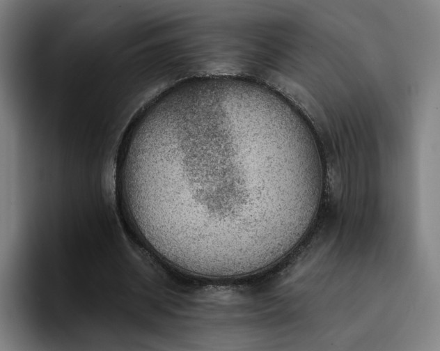 X0000094900534200712061030
