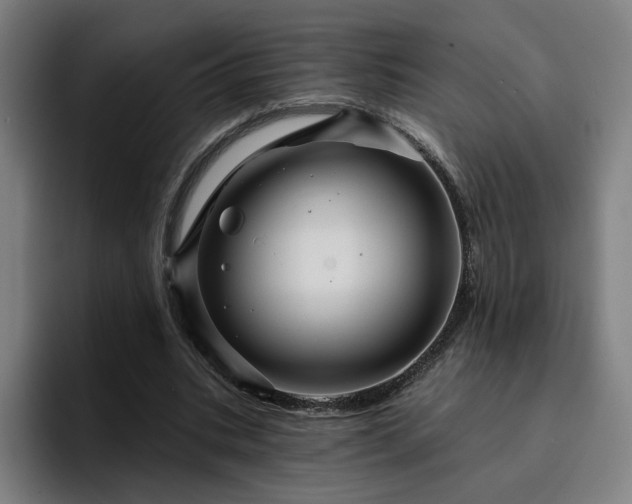 X0000094900535200712061030