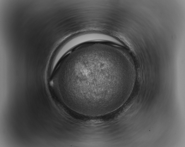 X0000094900536200712061030