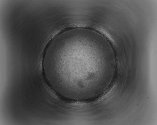 X0000094900537200712061030