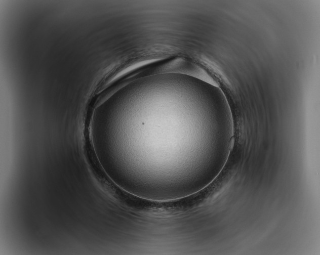 X0000094900538200712061030