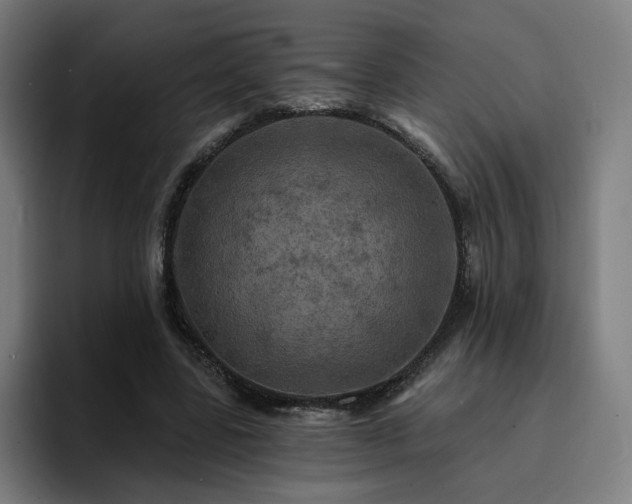 X0000094900539200712061030