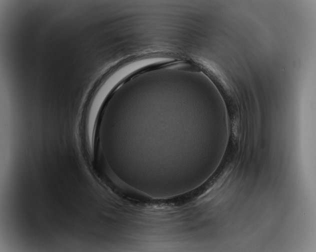 X0000094900540200712061030