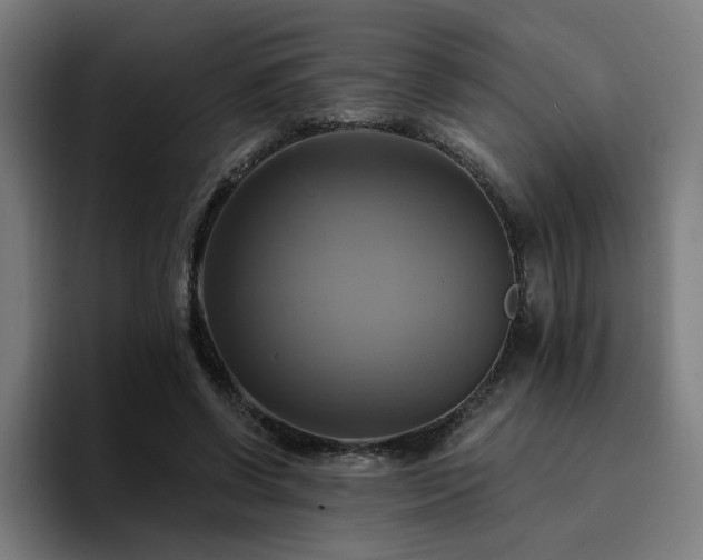 X0000094900542200712061030