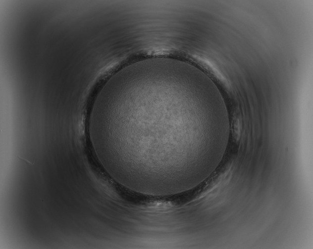 X0000094900543200712061030