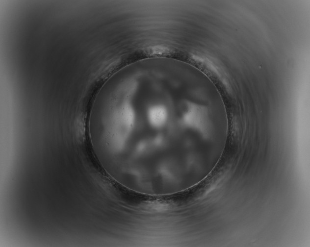 X0000094900545200712061030