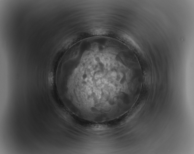 X0000094900549200712061030