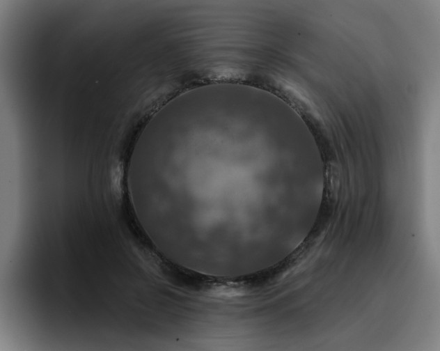 X0000094900550200712061030